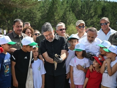 Aile kamplarına 10 bin başvuru yapıldı