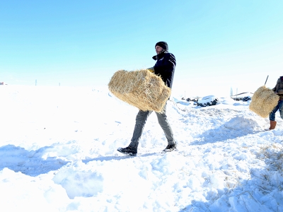 Devlet desteğiyle sürüsünü 6 kat büyüttü