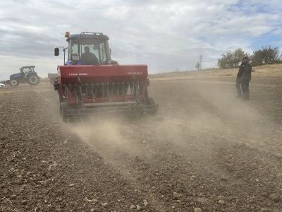 Edirneli üreticiler kanolaya yöneldi