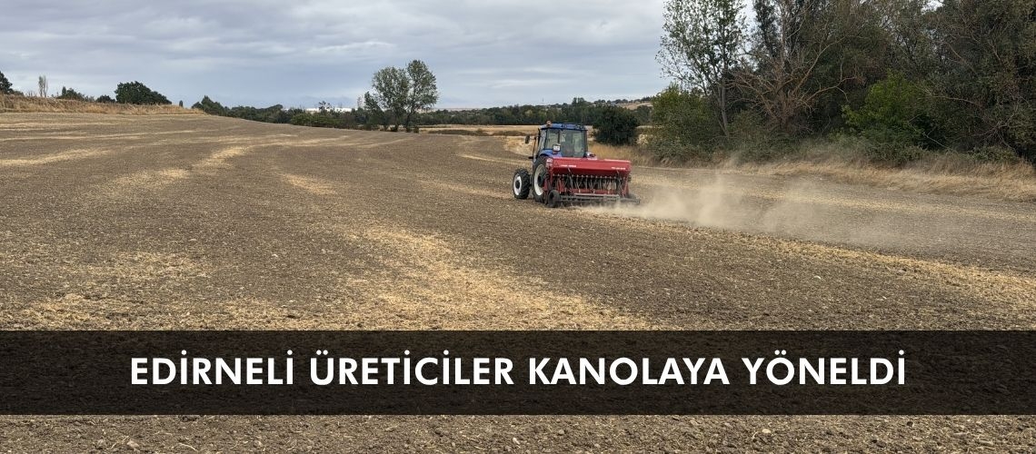 Edirneli üreticiler kanolaya yöneldi