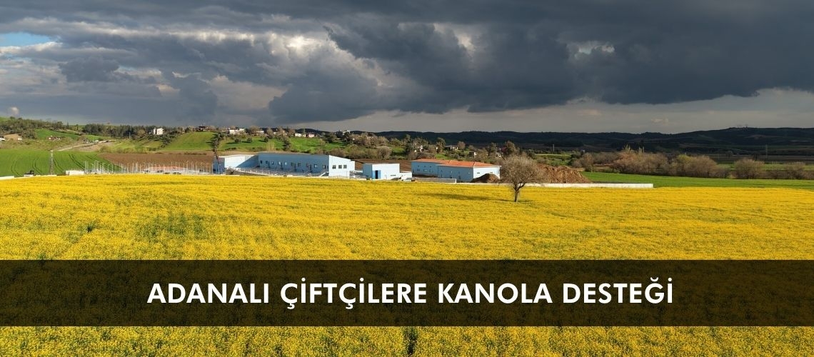 Adanalı çiftçilere kanola desteği