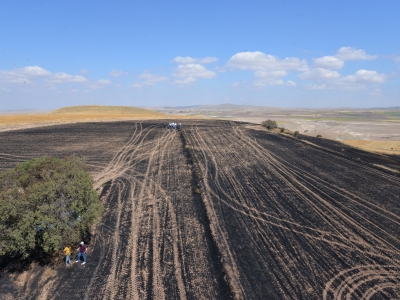 Tarla yangınında tarım arazileri zarar gördü