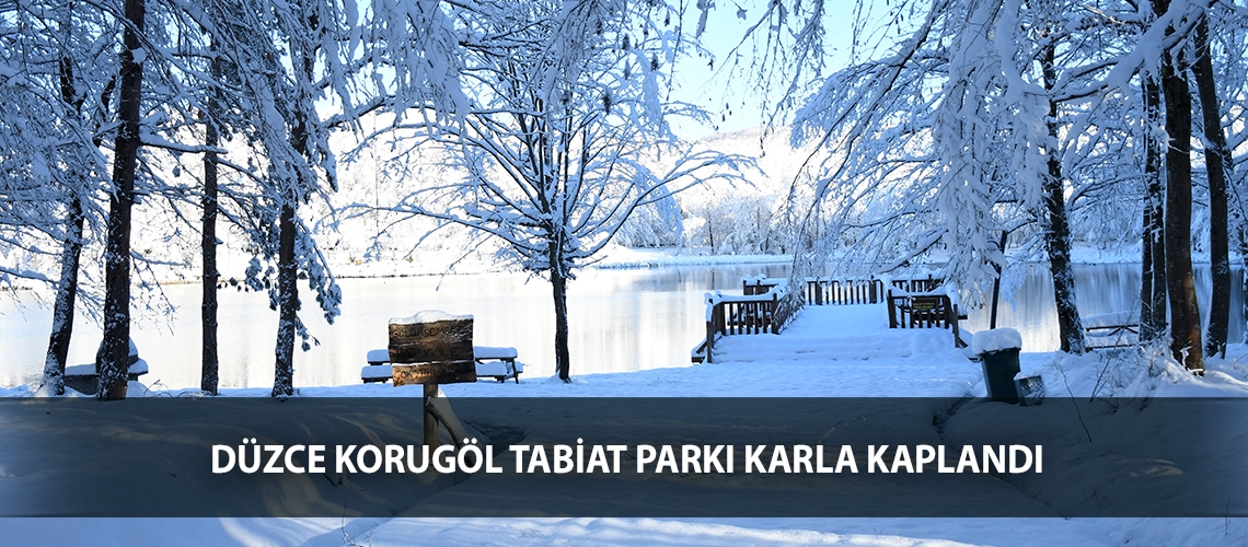 Düzce Korugöl Tabiat Parkı karla kaplandı