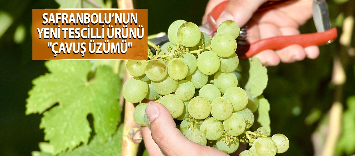 Safranbolu’nun yeni tescilli ürünü 