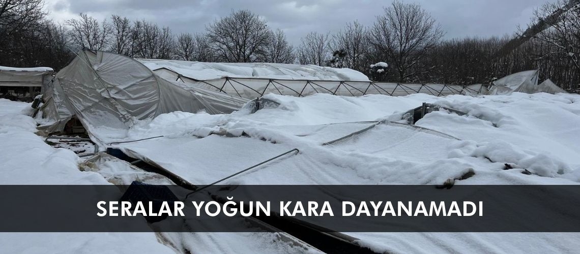 Seralar yoğun kara dayanamadı