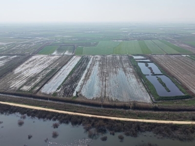 Karacabey çiftçisi suların çekilmesini bekliyor
