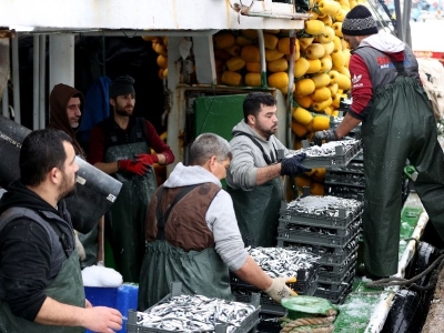 Hamsi peşindeki balıkçıların rotası İğneada