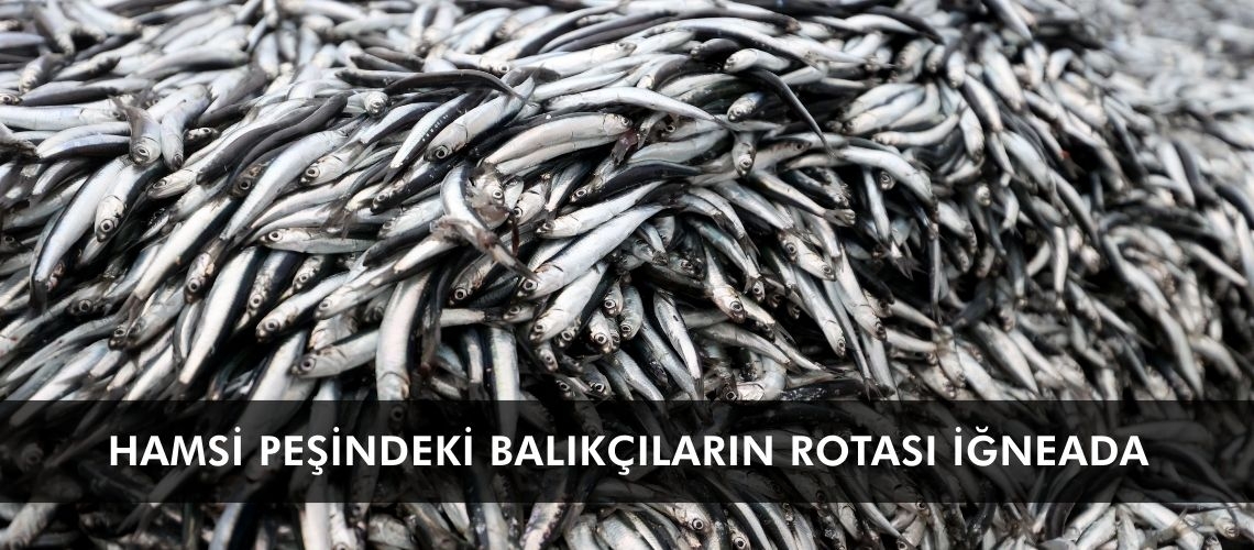 Hamsi peşindeki balıkçıların rotası İğneada