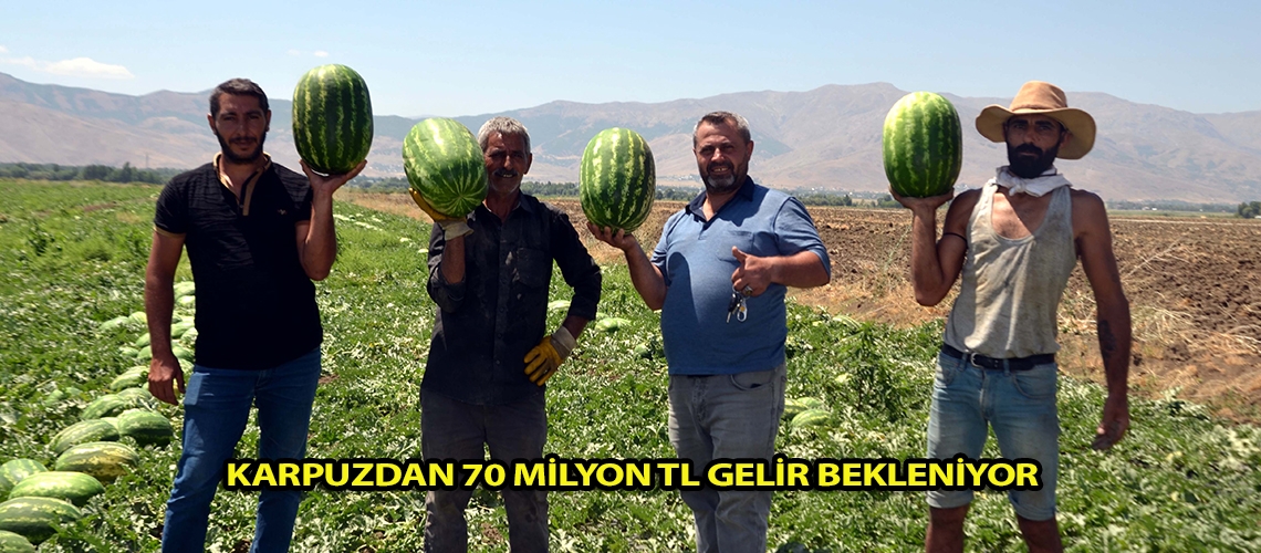 Karpuzdan 70 milyon TL gelir bekleniyor