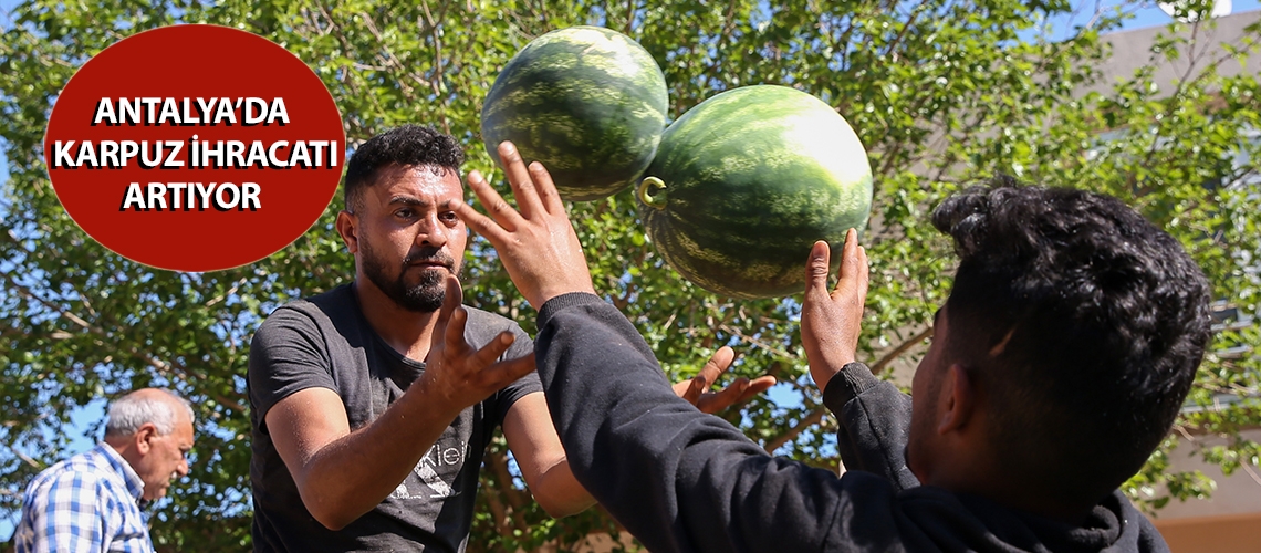 Antalya’da karpuz ihracatı artıyor