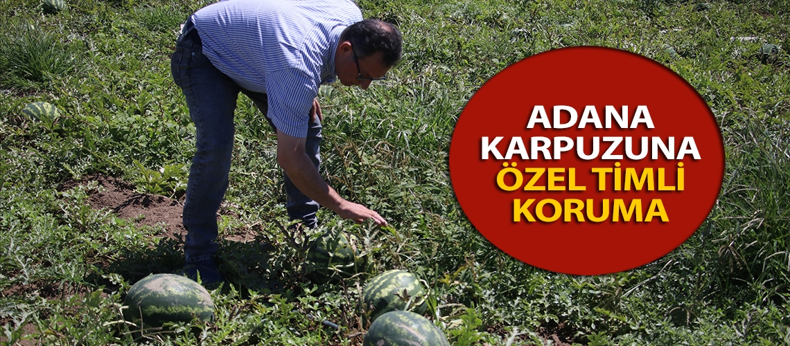 Adana karpuzuna özel timli koruma