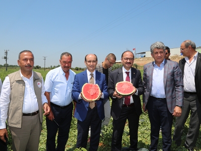 Karpuzda bereketli ve şenlikli hasat başladı
