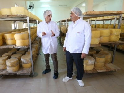 Kars’ın coğrafi işaretli peynirleri Avrupa Birliği yolunda