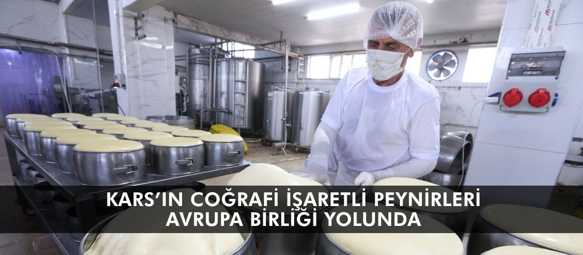 Kars’ın coğrafi işaretli peynirleri Avrupa Birliği yolunda
