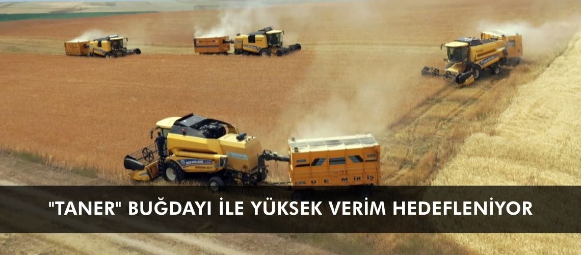 Kars’ta 