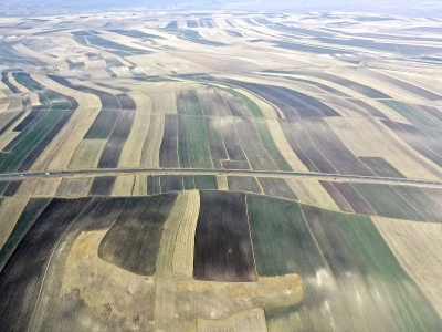 Hasadı tamamlanan tarlalarda görsel şölen