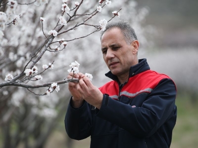 Baharda kış havası zirai don riskini artırıyor