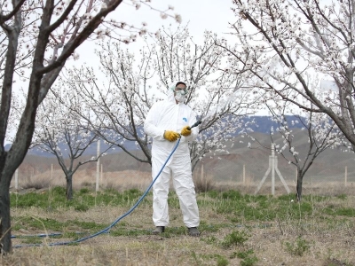 Karslı üreticiler ilaçlama mesaisinde