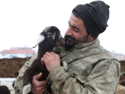 Köyüne döndü, destekle sürü sahibi oldu