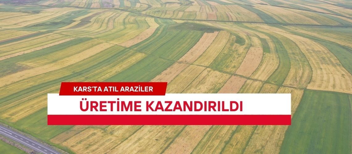 Kars’ta atıl araziler üretime kazandırıldı