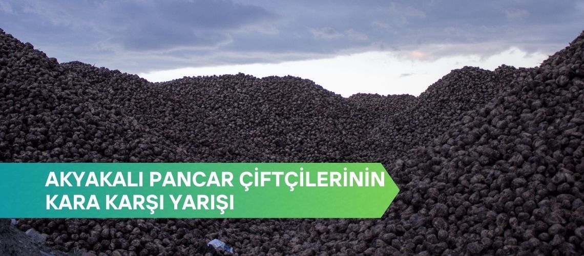 Akyakalı pancar çiftçilerinin kara karşı yarışı