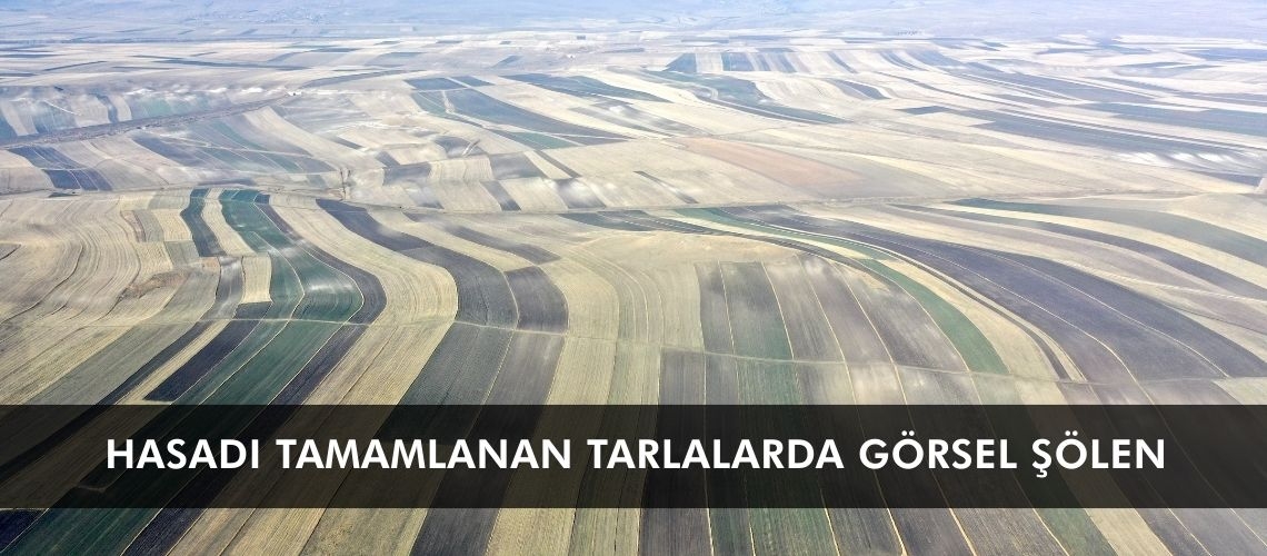Hasadı tamamlanan tarlalarda görsel şölen