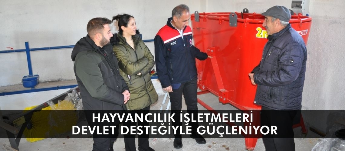Hayvancılık işletmeleri devlet desteğiyle güçleniyor
