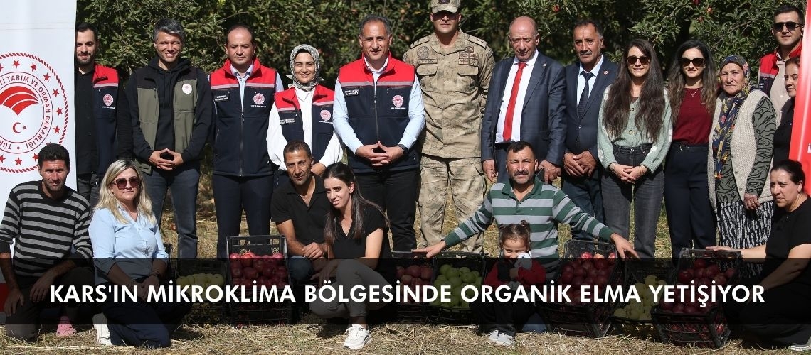 Kars'ın mikroklima bölgesinde organik elma yetişiyor