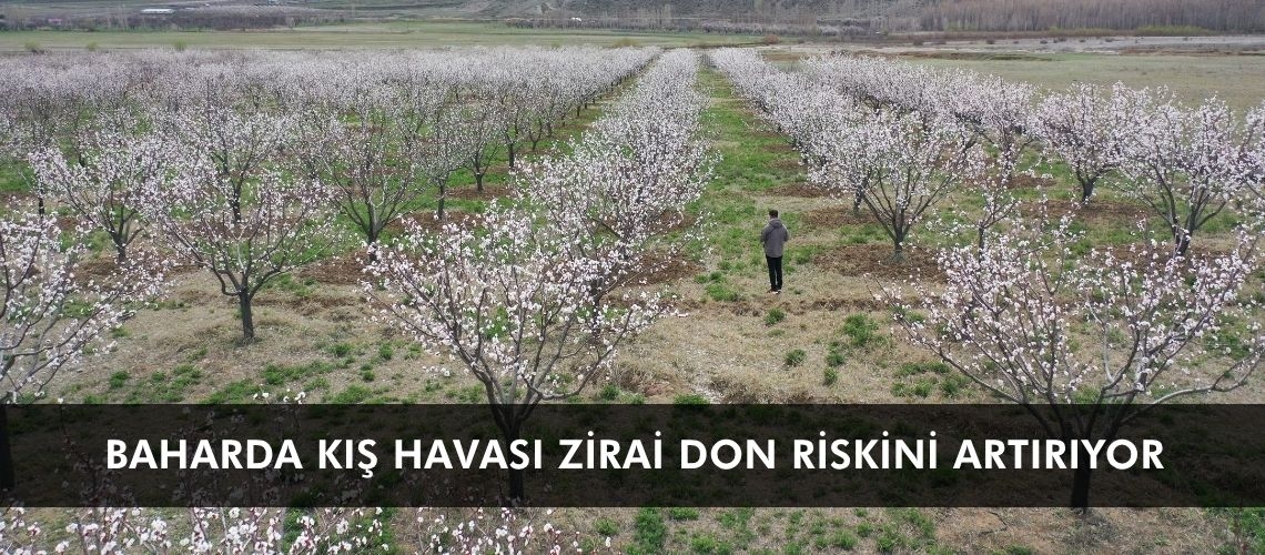 Baharda kış havası zirai don riskini artırıyor