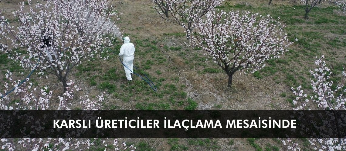 Karslı üreticiler ilaçlama mesaisinde
