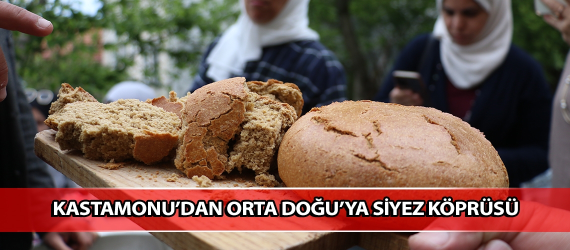 Kastamonu’dan Orta Doğu’ya siyez köprüsü