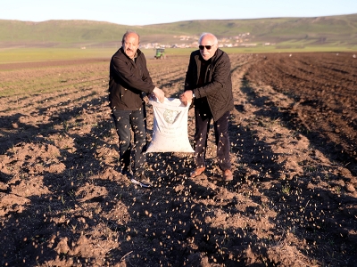 Kavılca tohumu toprakla buluştu