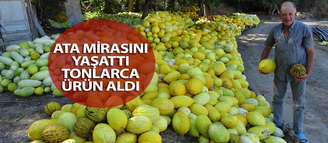 Ata mirasını yaşattı tonlarca ürün aldı
