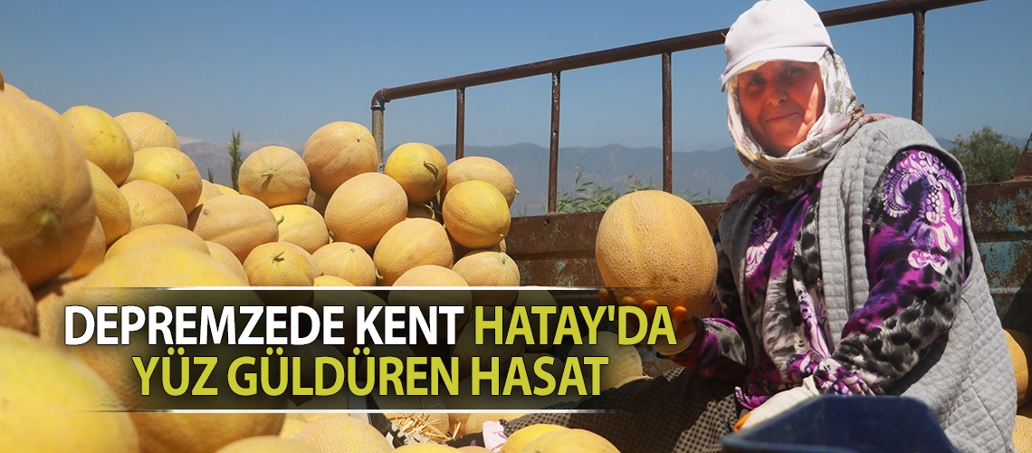 Depremzede kent Hatay'da yüz güldüren hasat