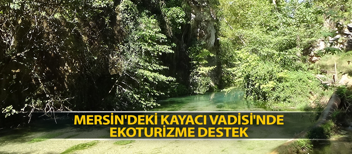 Mersin'deki Kayacı Vadisi'nde ekoturizme destek