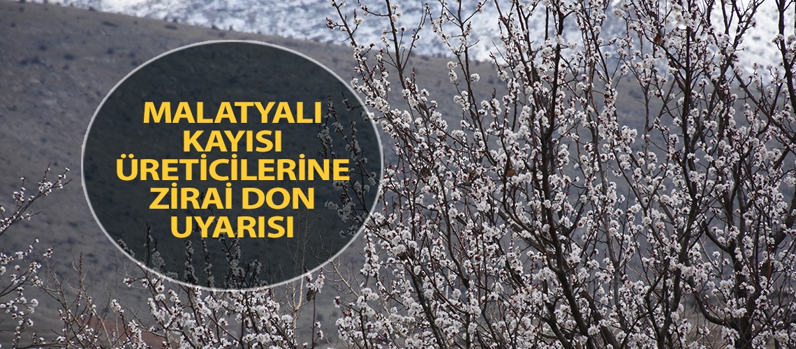 Malatyalı kayısı üreticilerine zirai don uyarısı