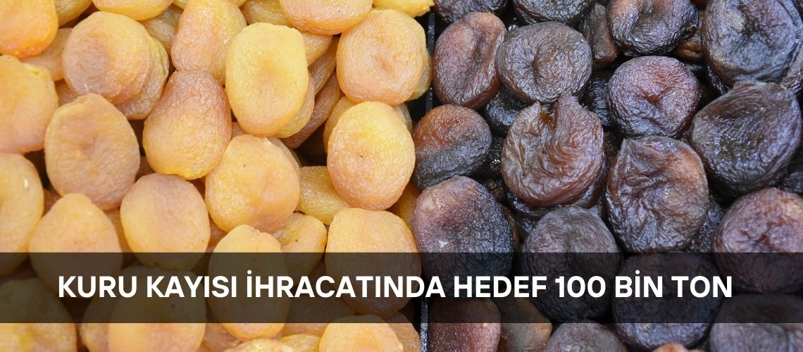 Kuru kayısı ihracatında hedef 100 bin ton