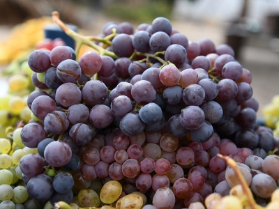 Üzümün pekmeze tatlı yolculuğu