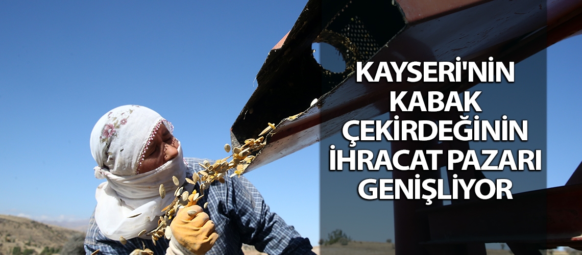 Kayseri'nin kabak çekirdeğinin ihracat pazarı genişliyor