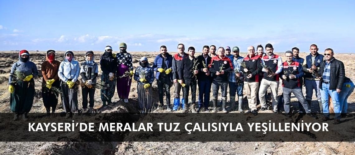 Kayseri’de meralar tuz çalısıyla yeşilleniyor