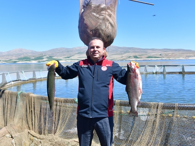 Kayseri'de Türk somonu hasadı başladı