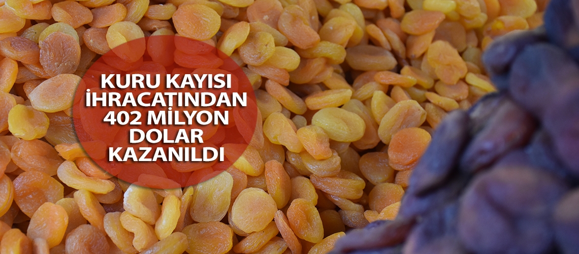 Kuru kayısı ihracatından 402 milyon dolar kazanıldı