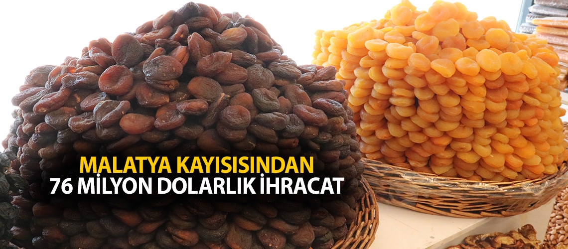 Malatya kayısısından 76 milyon dolarlık ihracat