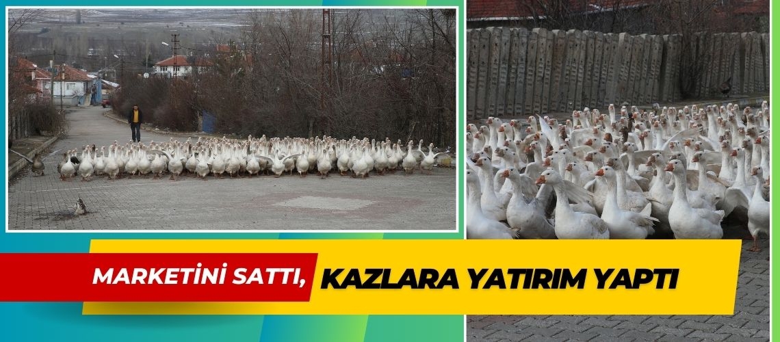 Marketini sattı, kazlara yatırım yaptı