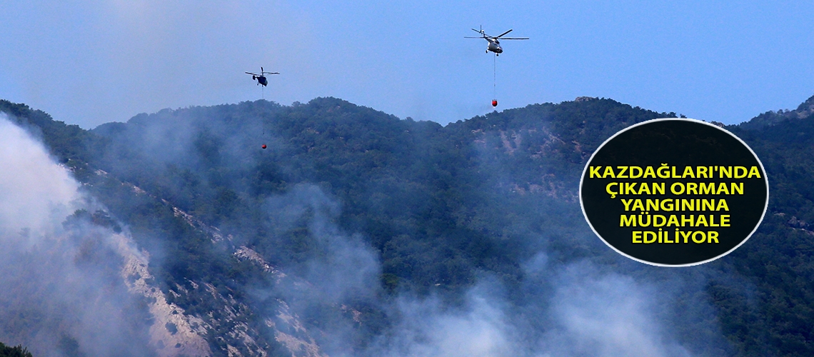Kazdağları'nda çıkan orman yangınına müdahale ediliyor