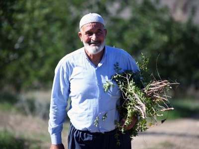 Çorak araziyi keçiboynuzuyla üretime kazandırdı