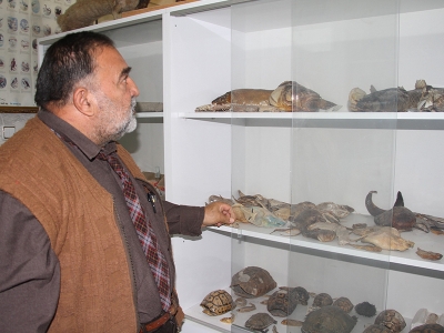 Keban Barajı’nda Sibirya ‘Mersin balığı’ görüldü