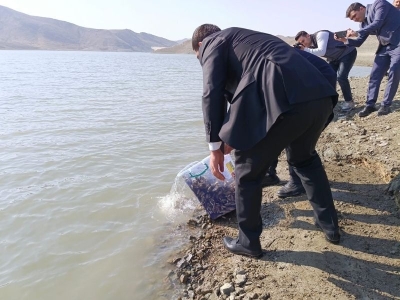Nahçıvan’ın balıkları Keban’dan