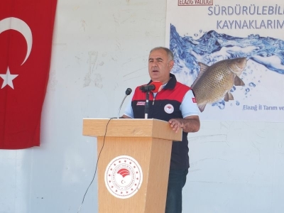 Keban Baraj Gölü'ne 10 bin sazan yavrusu bırakıldı