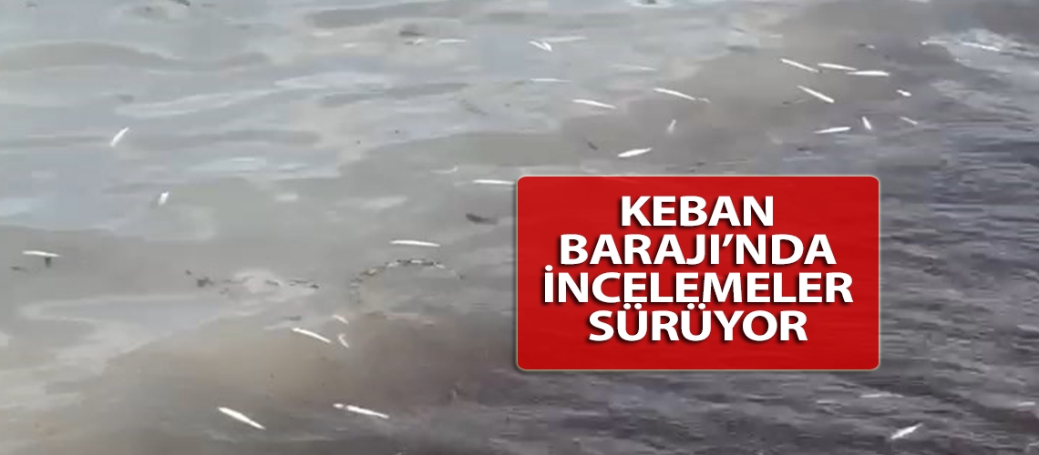 Keban Barajı’nda incelemeler sürüyor
